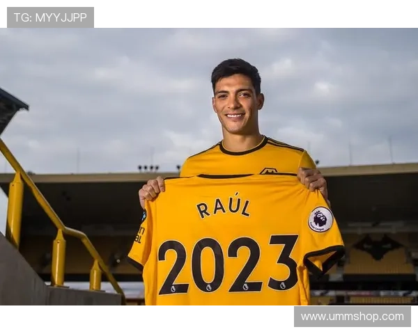 尼斯球队结构分析：当前阵容配置与战术体系解析