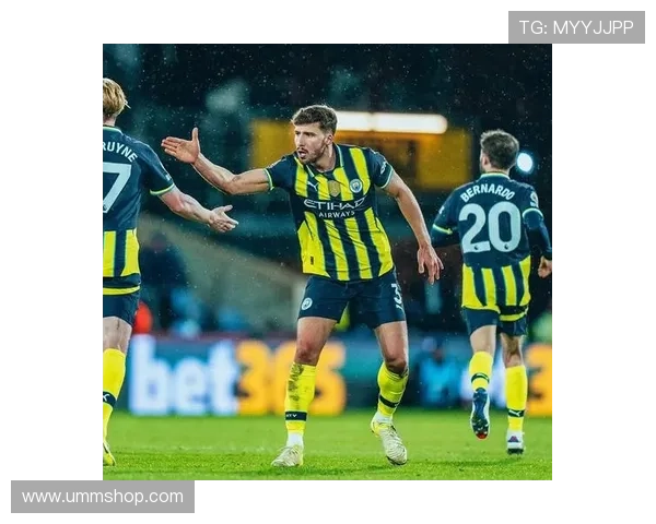 吕迪格与鲁本·迪亚斯防守风格对比分析